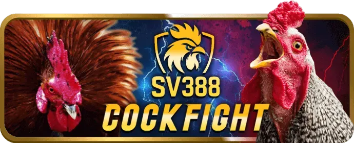 Bước 3: Đồng ý điều khoản và hoàn tất